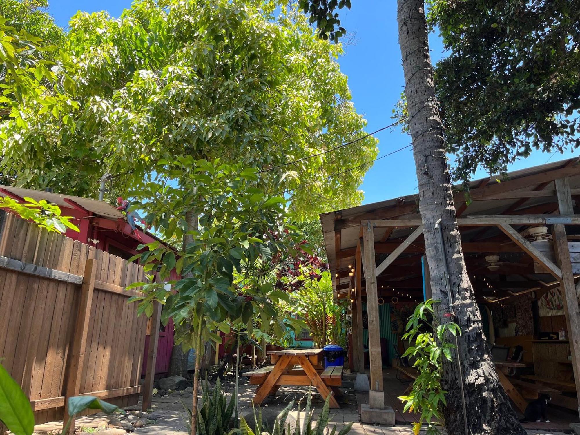 Banana Bungalow Maui Hostel Wailuku Kültér fotó